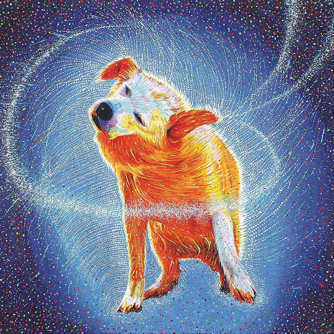 Zoomies in the Galaxy — original Oil & Acrylic on Canvas, 23" × 34", by Dubai artist Khushi Dhawan